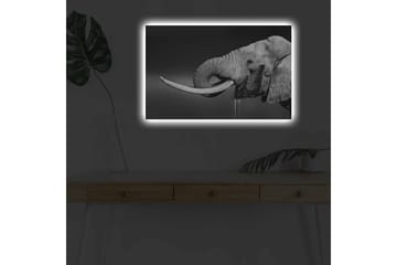 Canvastavla med LED-belysning - Svartvit elefant med hängande betar - Svart / Grå - Inredning - Tavlor & posters - Canvastavla