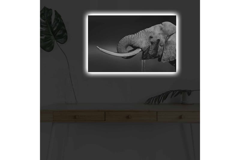 Canvastavla med LED-belysning - Svartvit elefant med hängande betar - Svart / Grå - Inredning - Tavlor & posters - Canvastavla
