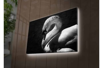 Canvastavla med LED-belysning - Svartvit svan i elegant pose - Svart / Vit - Inredning - Tavlor & posters - Canvastavla