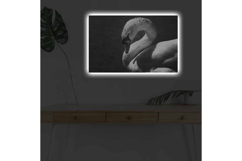 Canvastavla med LED-belysning - Svartvit svan i elegant pose - Svart / Vit - Inredning - Tavlor & posters - Canvastavla