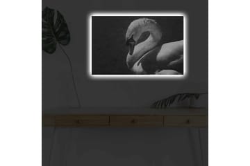 Canvastavla med LED-belysning - Svartvit svan i elegant pose - Svart / Vit - Inredning - Tavlor & posters - Canvastavla