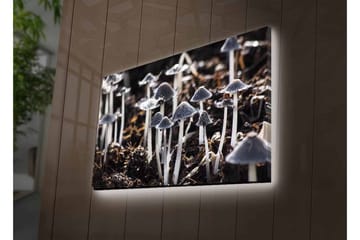 Canvastavla med LED-belysning - Svartvita svampar i en naturlig miljö - Svart / Vit / Grå - Inredning - Tavlor & posters - Canvastavla