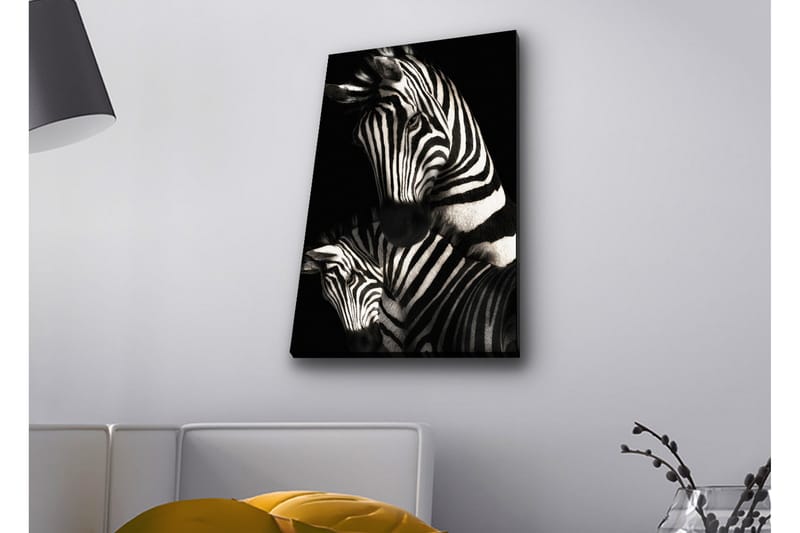 Canvastavla med LED-belysning - Svartvita zebror med distinkta ränder, Svart / Vit