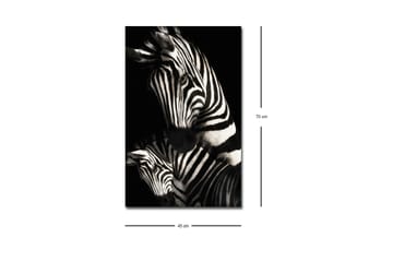 Canvastavla med LED-belysning - Svartvita zebror med distinkta ränder - Svart / Vit - Inredning - Tavlor & posters - Canvastavla