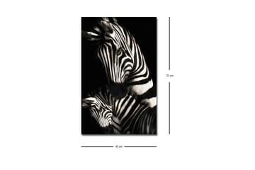 Canvastavla med LED-belysning - Svartvita zebror med distinkta ränder - Svart / Vit - Inredning - Tavlor & posters - Canvastavla