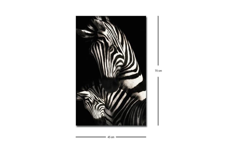 Canvastavla med LED-belysning - Svartvita zebror med distinkta ränder - Svart / Vit - Inredning - Tavlor & posters - Canvastavla