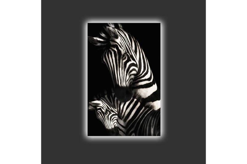 Canvastavla med LED-belysning - Svartvita zebror med distinkta ränder - Svart / Vit - Inredning - Tavlor & posters - Canvastavla