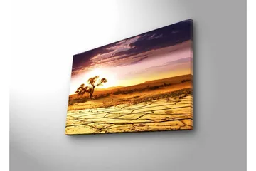 Canvastavla med LED-belysning - Torkad landskap med en ensam akaciaträd vid solnedgången - Guld / Lila / Orange - Inredning - Tavlor & posters - Canvastavla