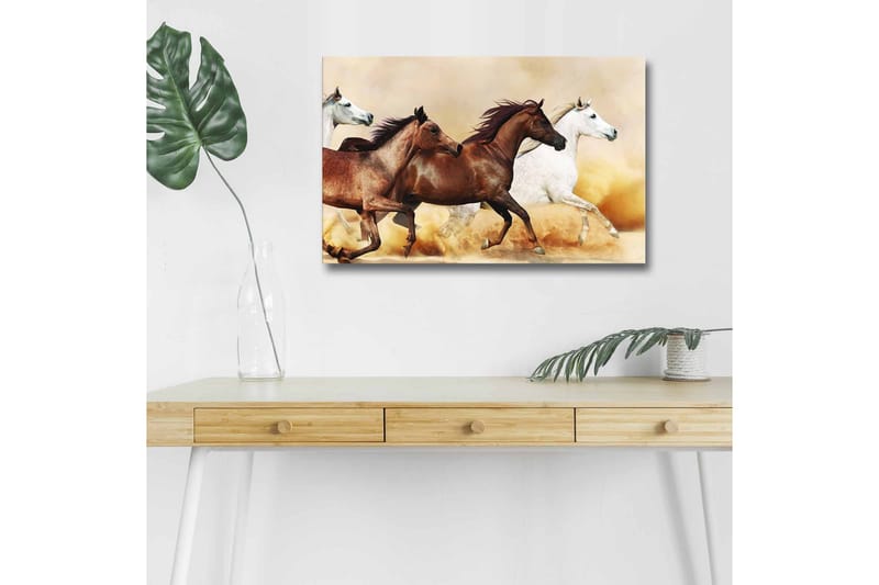 Canvastavla med LED-belysning - Tre hästar i rörelse över en sandig yta - Brun / Vit / Beige - Inredning - Tavlor & posters - Canvastavla
