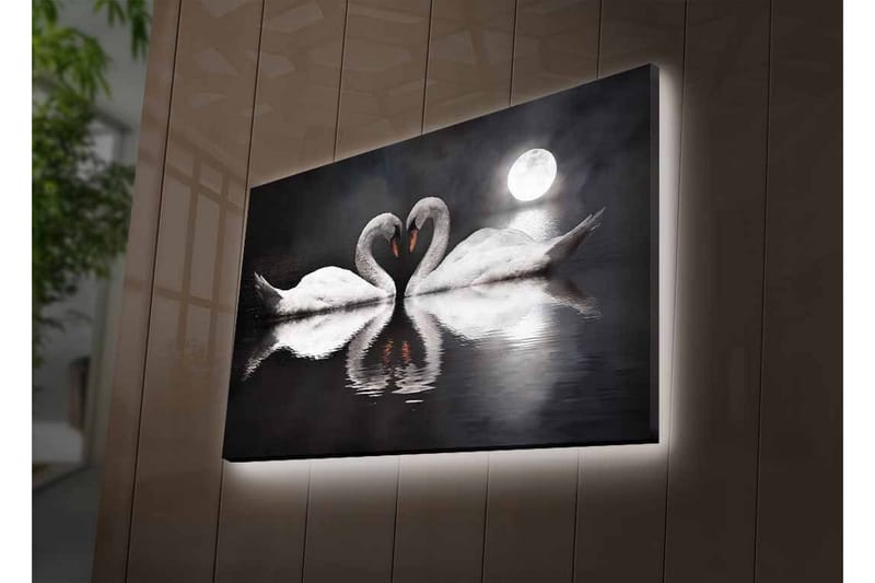 Canvastavla med LED-belysning - Två svanar som formar ett hjärta i en spegelblanka sjö under en måne - Vit / Svart / Grå - Inredning - Tavlor & posters - Canvastavla