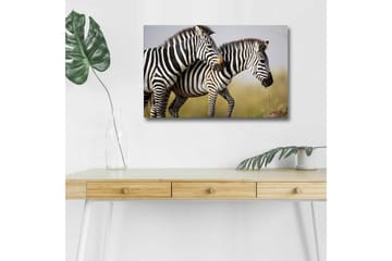 Canvastavla med LED-belysning - Två zebror som står nära varandra i en naturlig miljö - Svart / Vit / Beige - Inredning - Tavlor & posters - Canvastavla