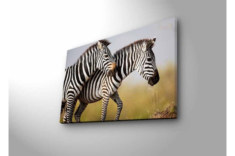 Canvastavla med LED-belysning - Två zebror som står nära varandra i en naturlig miljö - Svart / Vit / Beige - Inredning - Tavlor & posters - Canvastavla