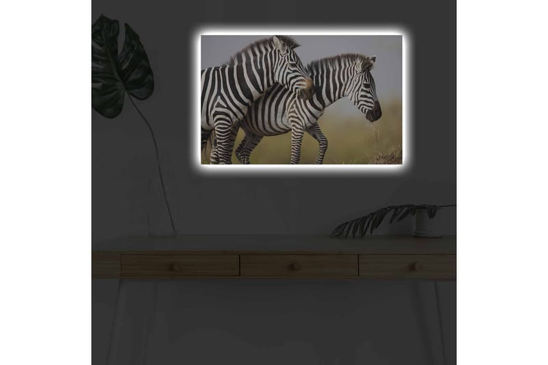 Canvastavla med LED-belysning - Två zebror som står nära varandra i en naturlig miljö - Svart / Vit / Beige - Inredning - Tavlor & posters - Canvastavla