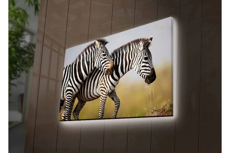 Canvastavla med LED-belysning - Två zebror som står nära varandra i en naturlig miljö - Svart / Vit / Beige - Inredning - Tavlor & posters - Canvastavla