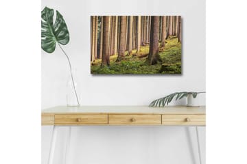 Canvastavla med LED-belysning - Tyst skog med höga träd och frodig grönska - Grön / Brun / Beige - Inredning - Tavlor & posters - Canvastavla