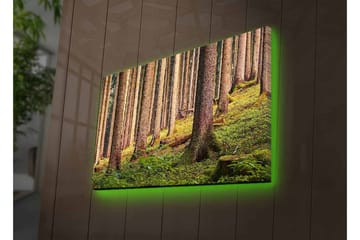Canvastavla med LED-belysning - Tyst skog med höga träd och frodig grönska - Grön / Brun / Beige - Inredning - Tavlor & posters - Canvastavla