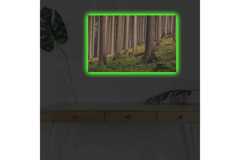 Canvastavla med LED-belysning - Tyst skog med höga träd och frodig grönska - Grön / Brun / Beige - Inredning - Tavlor & posters - Canvastavla