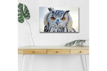Canvastavla med LED-belysning - Uggla med intensiva ögon och detaljerad fjäderdräkt - Grå / Orange / Vit - Inredning - Tavlor & posters - Canvastavla