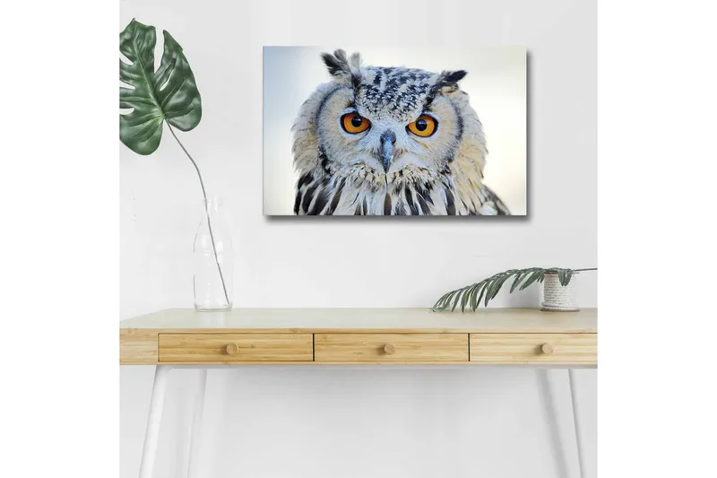 Canvastavla med LED-belysning - Uggla med intensiva ögon och detaljerad fjäderdräkt, Grå / Orange / Vit