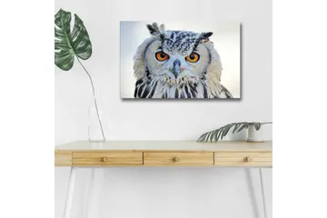 Canvastavla med LED-belysning - Uggla med intensiva ögon och detaljerad fjäderdräkt - Grå / Orange / Vit - Inredning - Tavlor & posters - Canvastavla