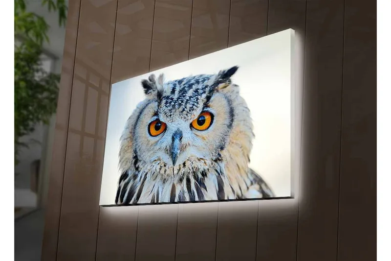 Canvastavla med LED-belysning - Uggla med intensiva ögon och detaljerad fjäderdräkt - Grå / Orange / Vit - Inredning - Tavlor & posters - Canvastavla