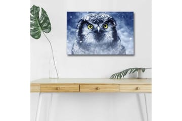 Canvastavla med LED-belysning - Uggla med snöiga detaljer och intensiva ögon - Blå / Vit / Gul - Inredning - Tavlor & posters - Canvastavla