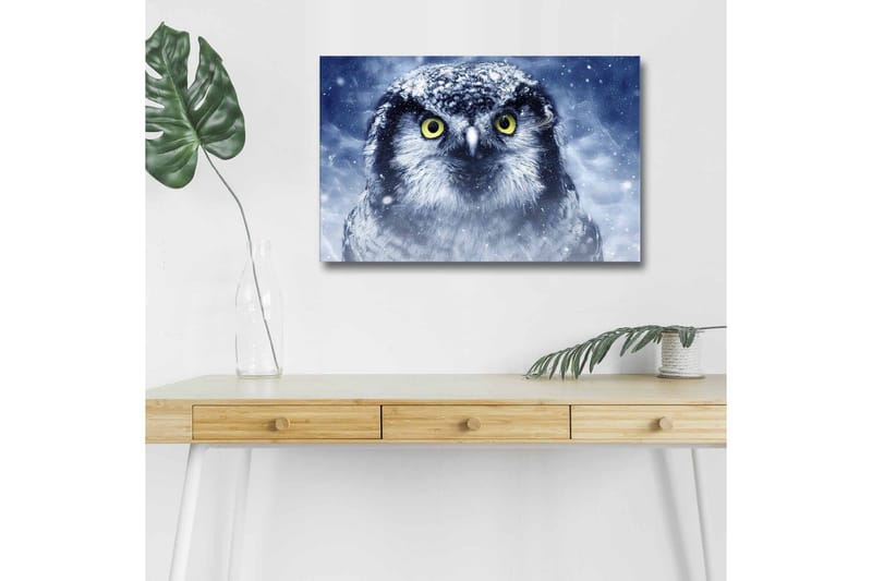 Canvastavla med LED-belysning - Uggla med snöiga detaljer och intensiva ögon, Blå / Vit / Gul