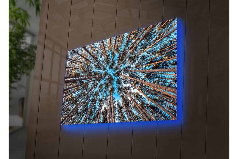 Canvastavla med LED-belysning - Utsikt uppåt genom trädtoppar i en skog - Blå / Brun / Grön - Inredning - Tavlor & posters - Canvastavla