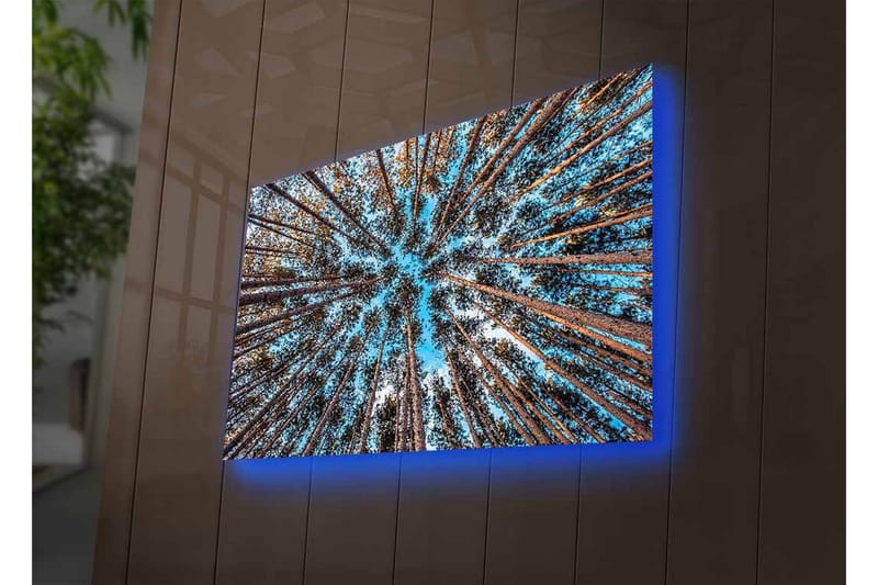 Canvastavla med LED-belysning - Utsikt uppåt genom trädtoppar i en skog - Blå / Brun / Grön - Inredning - Tavlor & posters - Canvastavla