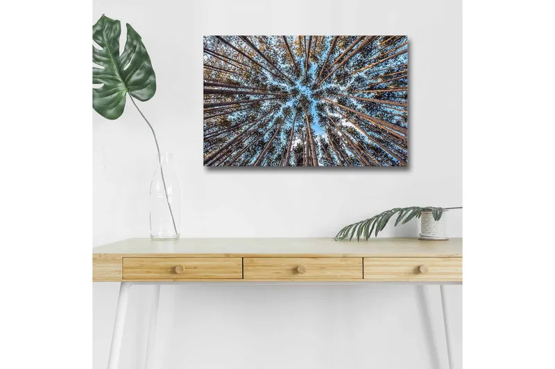 Canvastavla med LED-belysning - Utsikt uppåt genom trädtoppar i en skog - Blå / Brun / Grön - Inredning - Tavlor & posters - Canvastavla