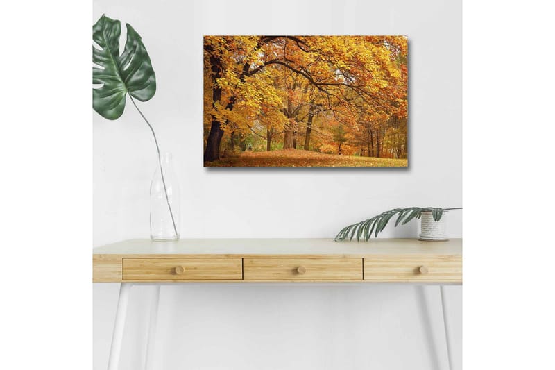 Canvastavla med LED-belysning - Vacker höstlandskap med gyllene och orangea lövträd - Guld / Orange / Brun - Inredning - Tavlor & posters - Canvastavla