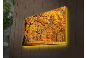 Canvastavla med LED-belysning - Vacker höstlandskap med gyllene och orangea lövträd - Guld / Orange / Brun - Inredning - Tavlor & posters - Canvastavla