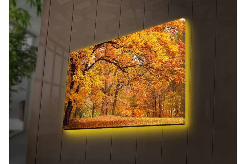 Canvastavla med LED-belysning - Vacker höstlandskap med gyllene och orangea lövträd - Guld / Orange / Brun - Inredning - Tavlor & posters - Canvastavla