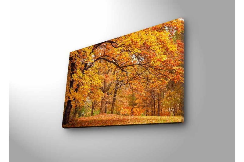 Canvastavla med LED-belysning - Vacker höstlandskap med gyllene och orangea lövträd - Guld / Orange / Brun - Inredning - Tavlor & posters - Canvastavla