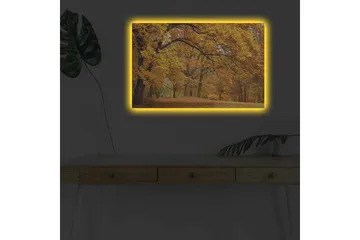 Canvastavla med LED-belysning - Vacker höstlandskap med gyllene och orangea lövträd - Guld / Orange / Brun - Inredning - Tavlor & posters - Canvastavla