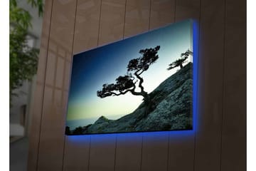Canvastavla med LED-belysning - Vacker silhuett av ett vindpinat träd på en klippa vid skymning - Mörkgrön / Blå / Ljusgrön - Inredning - Tavlor & posters - Canvastavla