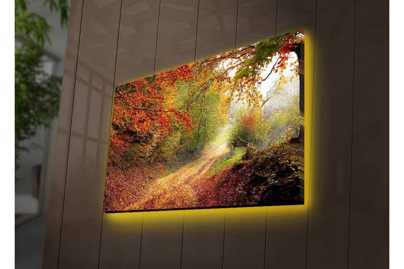 Canvastavla med LED-belysning - Vacker skogsväg omgiven av höstfärger - Röd / Grön / Brun - Inredning - Tavlor & posters - Canvastavla