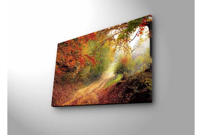 Canvastavla med LED-belysning - Vacker skogsväg omgiven av höstfärger - Röd / Grön / Brun - Inredning - Tavlor & posters - Canvastavla