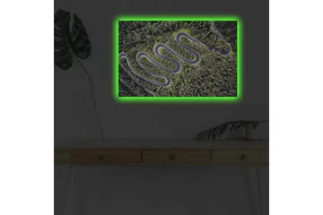 Canvastavla med LED-belysning - Vacker vy av en slingrande väg genom tät grönskande skog - Grön / Grå / Svart - Inredning - Tavlor & posters - Canvastavla