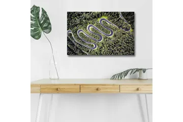 Canvastavla med LED-belysning - Vacker vy av en slingrande väg genom tät grönskande skog - Grön / Grå / Svart - Inredning - Tavlor & posters - Canvastavla