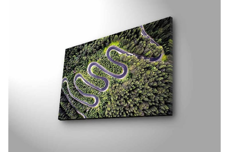 Canvastavla med LED-belysning - Vacker vy av en slingrande väg genom tät grönskande skog - Grön / Grå / Svart - Inredning - Tavlor & posters - Canvastavla