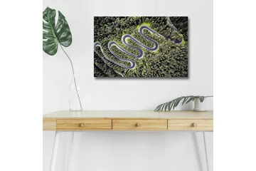 Canvastavla med LED-belysning - Vacker vy av en slingrande väg genom tät grönskande skog - Grön / Grå / Svart - Inredning - Tavlor & posters - Canvastavla