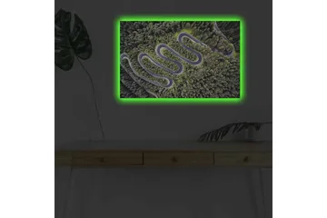 Canvastavla med LED-belysning - Vacker vy av en slingrande väg genom tät grönskande skog - Grön / Grå / Svart - Inredning - Tavlor & posters - Canvastavla