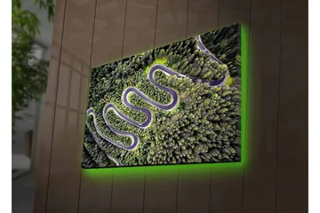Canvastavla med LED-belysning - Vacker vy av en slingrande väg genom tät grönskande skog - Grön / Grå / Svart - Inredning - Tavlor & posters - Canvastavla