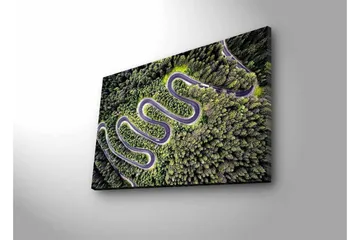 Canvastavla med LED-belysning - Vacker vy av en slingrande väg genom tät grönskande skog - Grön / Grå / Svart - Inredning - Tavlor & posters - Canvastavla