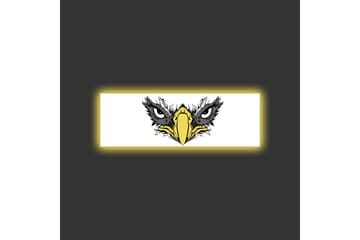 Canvastavla med LED-belysning - Vildsint örn med intensiva ögon - Svart / Gult / Vitt - Inredning - Tavlor & posters - Canvastavla