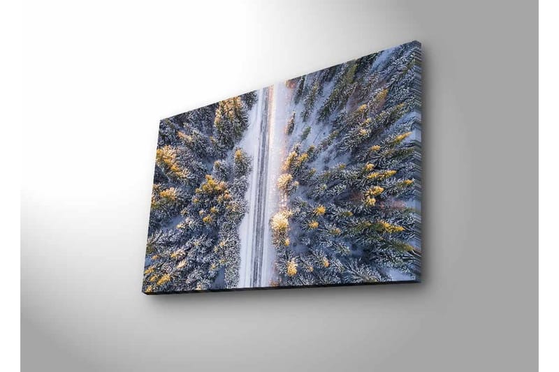 Canvastavla med LED-belysning - Vinterlandskap med snötäckta träd och en väg som sträcker sig genom skogen - Grå / Grön / Gul - Inredning - Tavlor & posters - Canvastavla