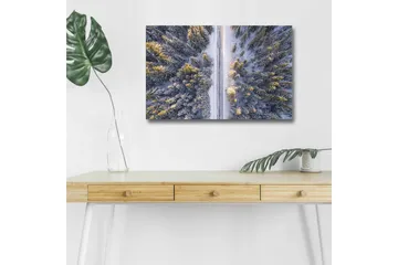 Canvastavla med LED-belysning - Vinterlandskap med snötäckta träd och en väg som sträcker sig genom skogen - Grå / Grön / Gul - Inredning - Tavlor & posters - Canvastavla