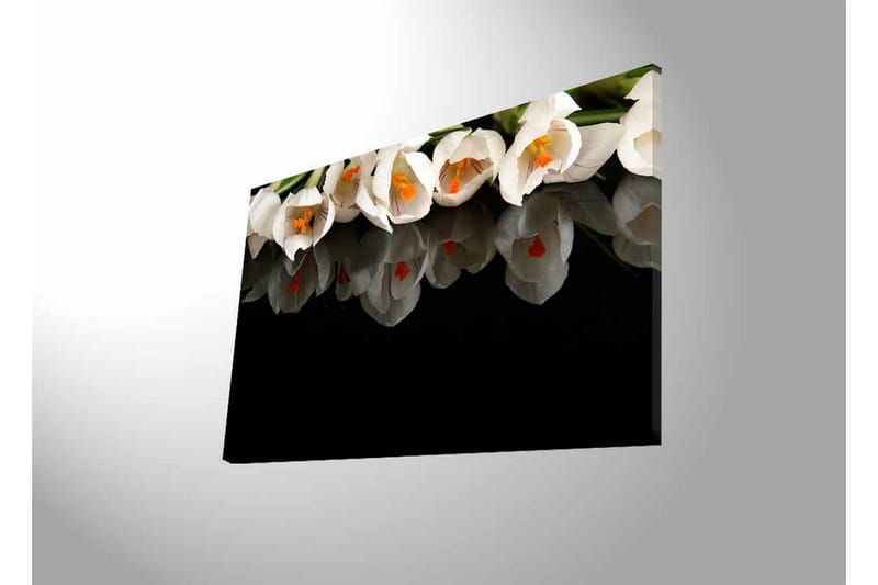 Canvastavla med LED-belysning - Vit blomsterbukett med reflektion på svart bakgrund - Vit / Orange / Grön - Inredning - Tavlor & posters - Canvastavla