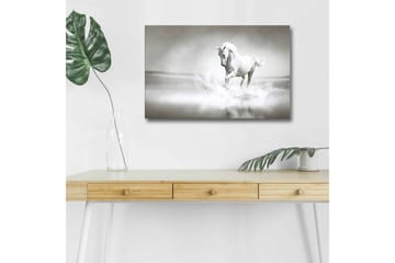 Canvastavla med LED-belysning - Vit häst som sprutar vatten i en dimmig miljö - Vit / Grå - Inredning - Tavlor & posters - Canvastavla